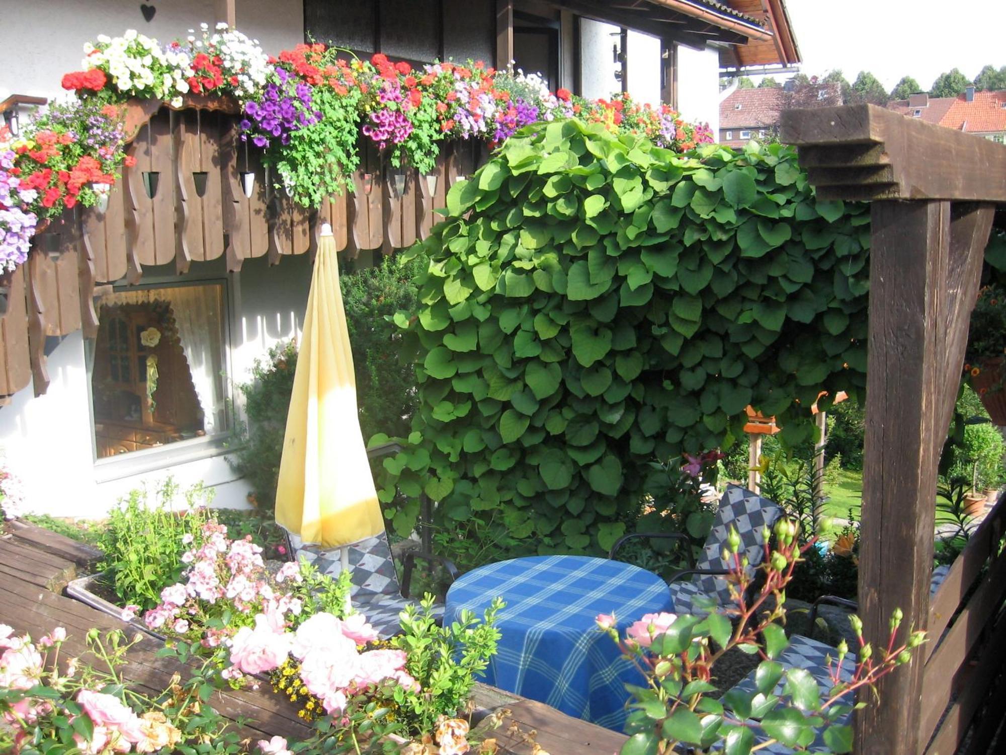 Apartmenthaus - Haus Am Schultal, Braunlage Dış mekan fotoğraf